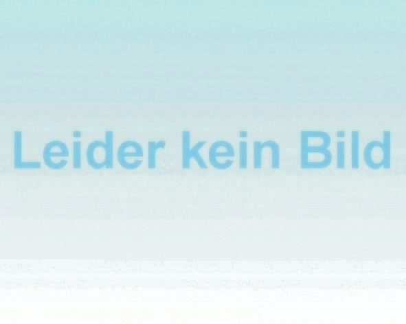 21456-A / 4208193 /  Hydraulik Öl-Filter